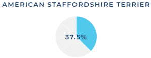 Dna test results - staffordshire terrier