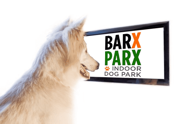 Display Advertising Dog Park
