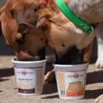 PuppyScoops - Ice Cream Mix - Image 4