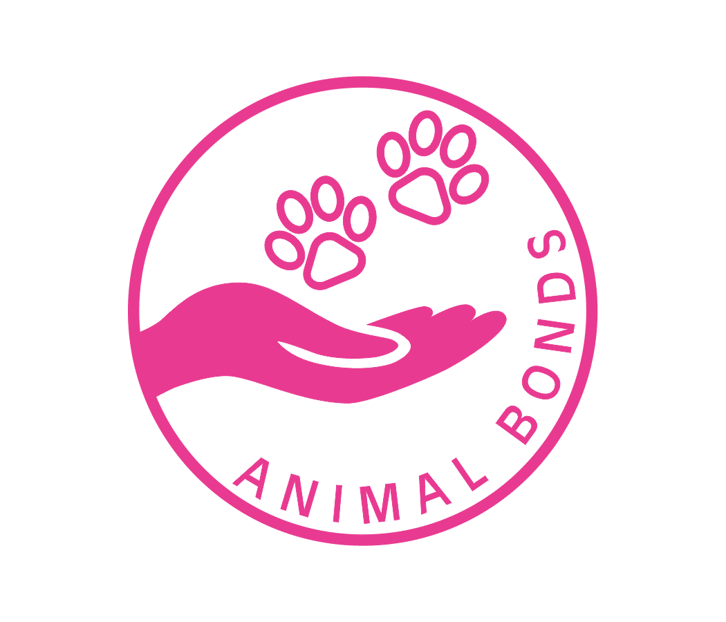 Animal bonds pet reiki