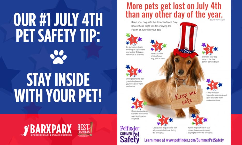 Pet Safety Tips For 4th Of July