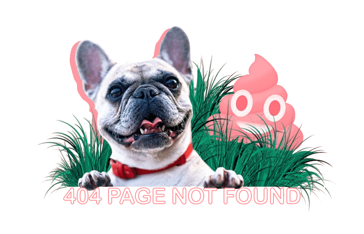 Page Not Found