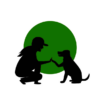 Behavior Assessment