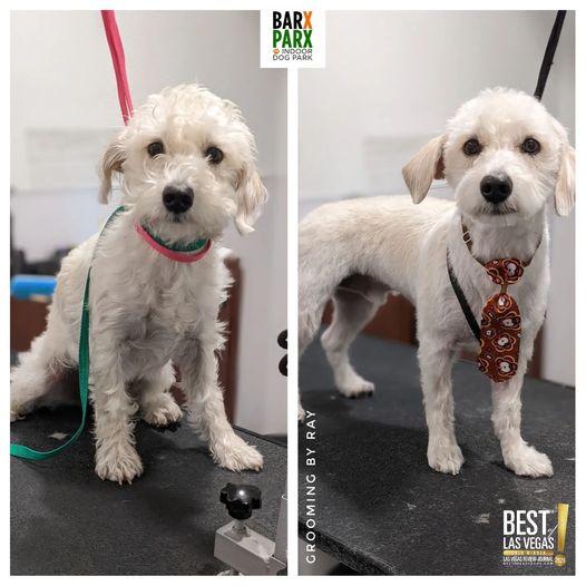 Grooming before after 2
