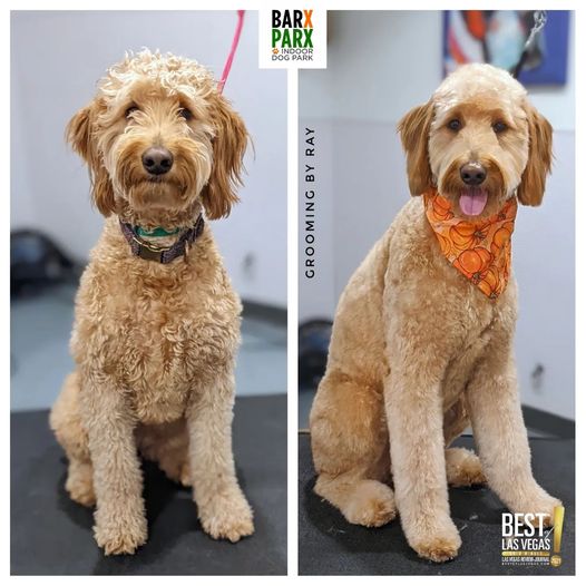 Grooming before after 1