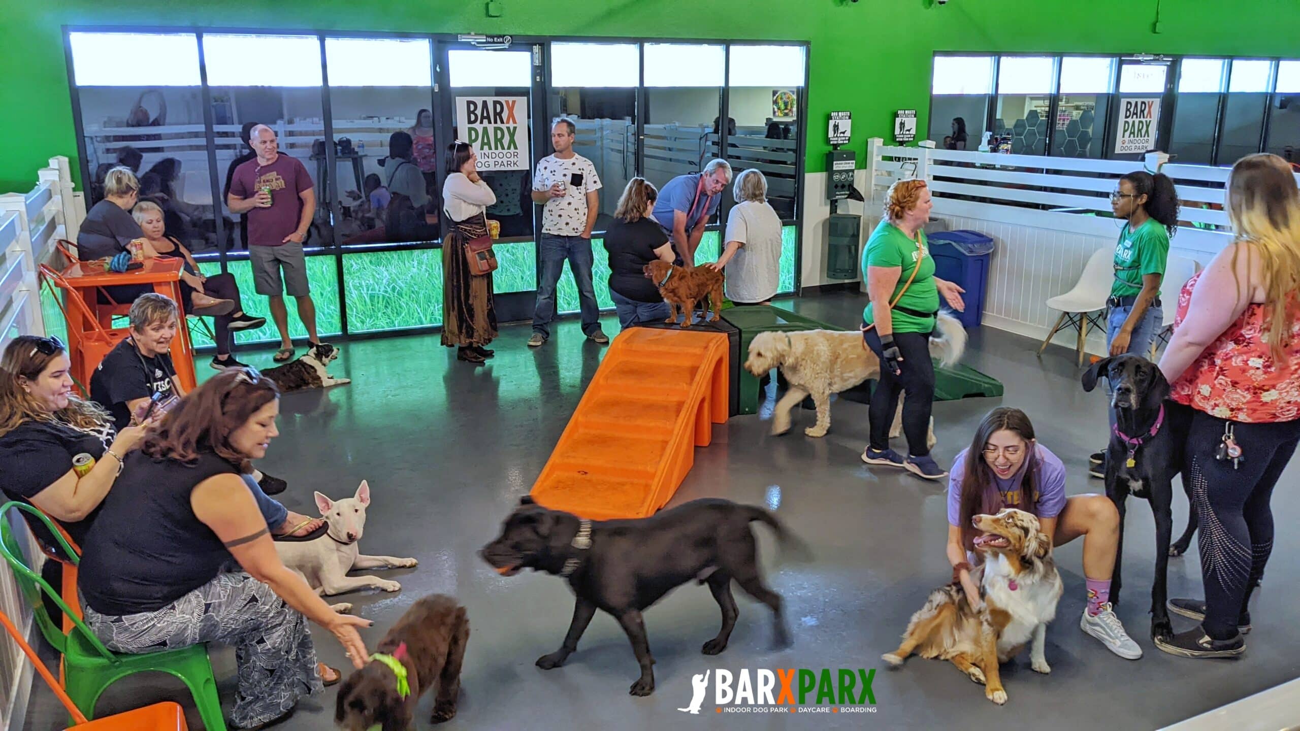 Indoor Dog Park - Las Vegas Indoor Dog Play Park Craft Beer -