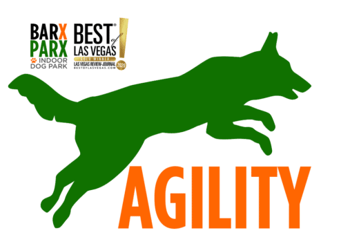 Agility Logo