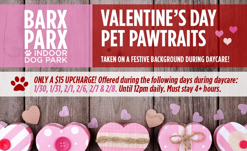 Vdaypetpawtraitsemail2023
