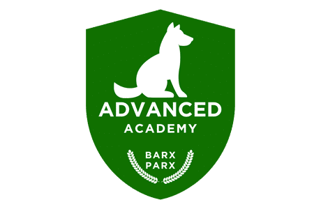Intermediate academy