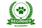 Beginner Academy Logo