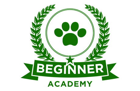 Beginner academy logo