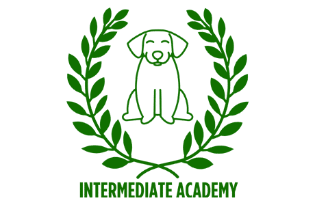 Intermediate academy logo