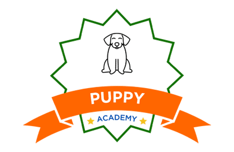 Puppy Academy Logo