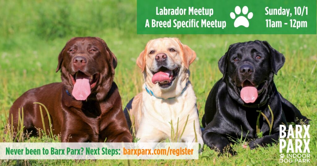 Lab meet up