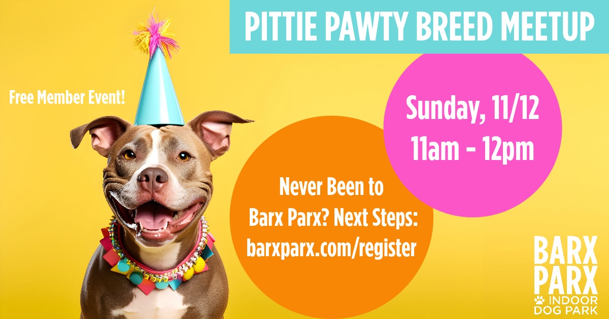 Pittie party breed meetup 1