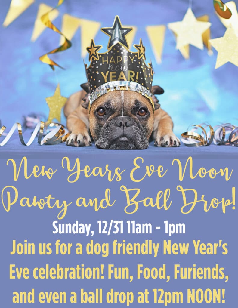 The Post-Star Events - Dogs in a Pile New Year's Eve Celebration