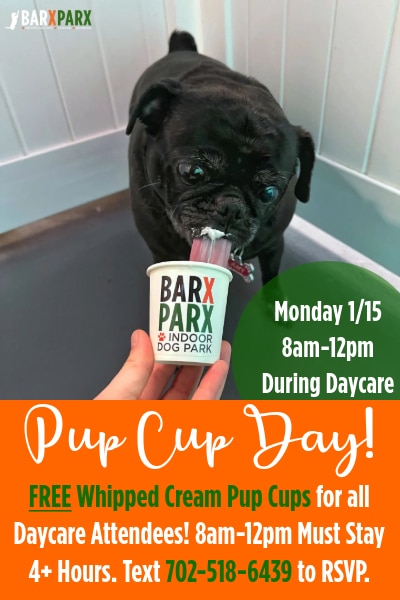 Pup cup day jan 15 1