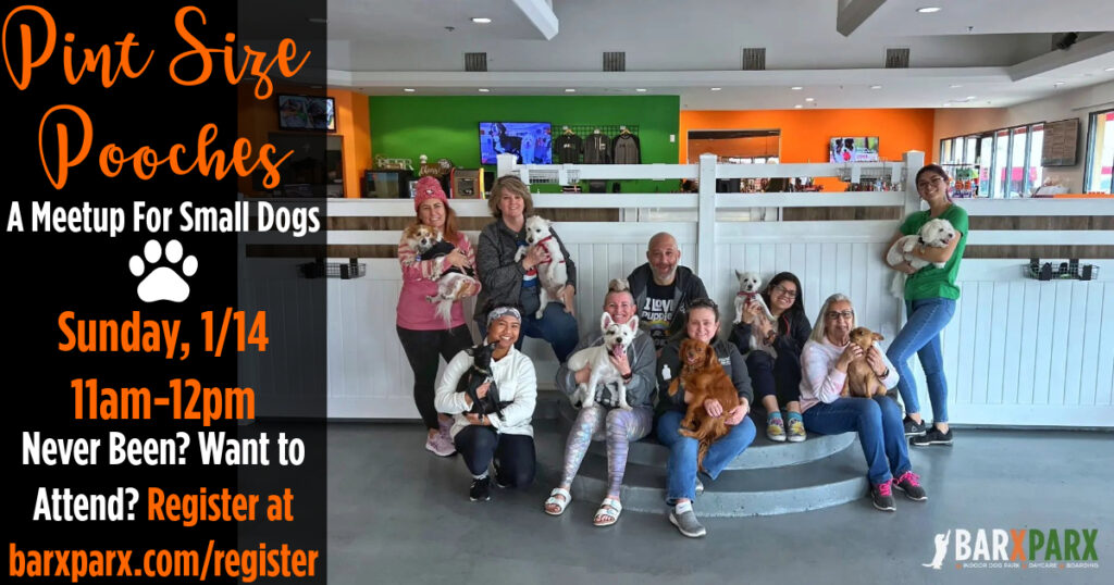 Small Dog Meetup Barx Parx
