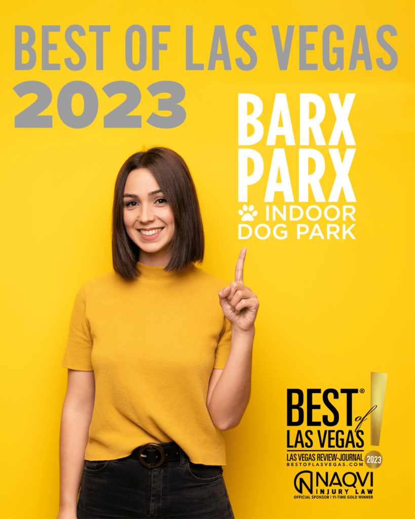 Voted Best of Las Vegas 2023 for Dog Boarding, Daycare, Grooming, and