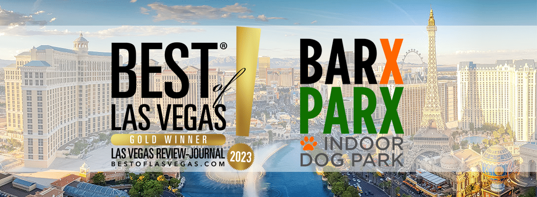 Voted Best of Las Vegas 2023 for Dog Boarding, Daycare, Grooming, and Dog Training Excellence