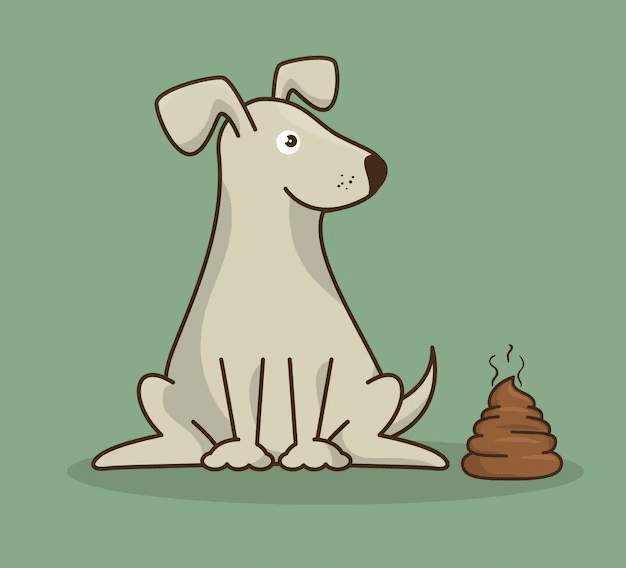 The Scoop on Dog Poop: Unveiling the Fascinating World of Canine Waste