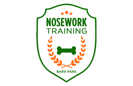Nosework training