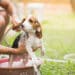 Summertime dog bath