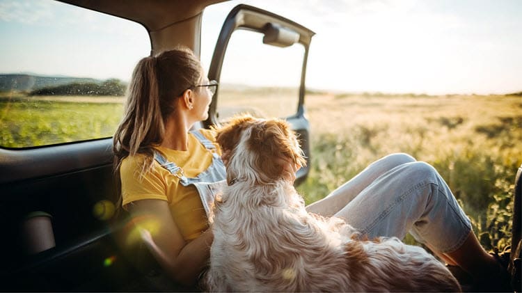 Top 12 Best Travel Destinations to Take Your Dog