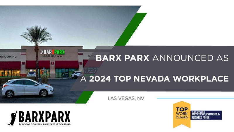 Best Places To Work: Barx Parx is a Tog Dog in 2024